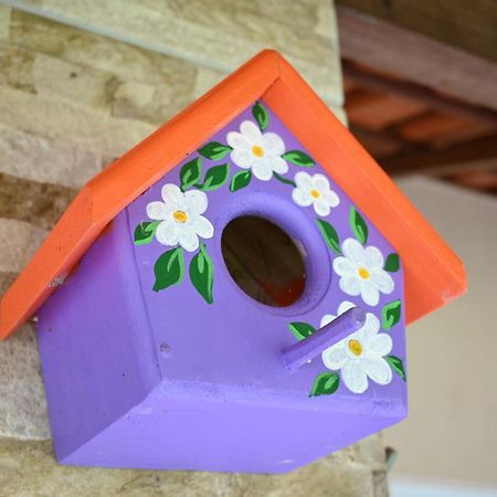 Sitio Terra Sana Bed & Breakfast Santa Teresa  Dış mekan fotoğraf