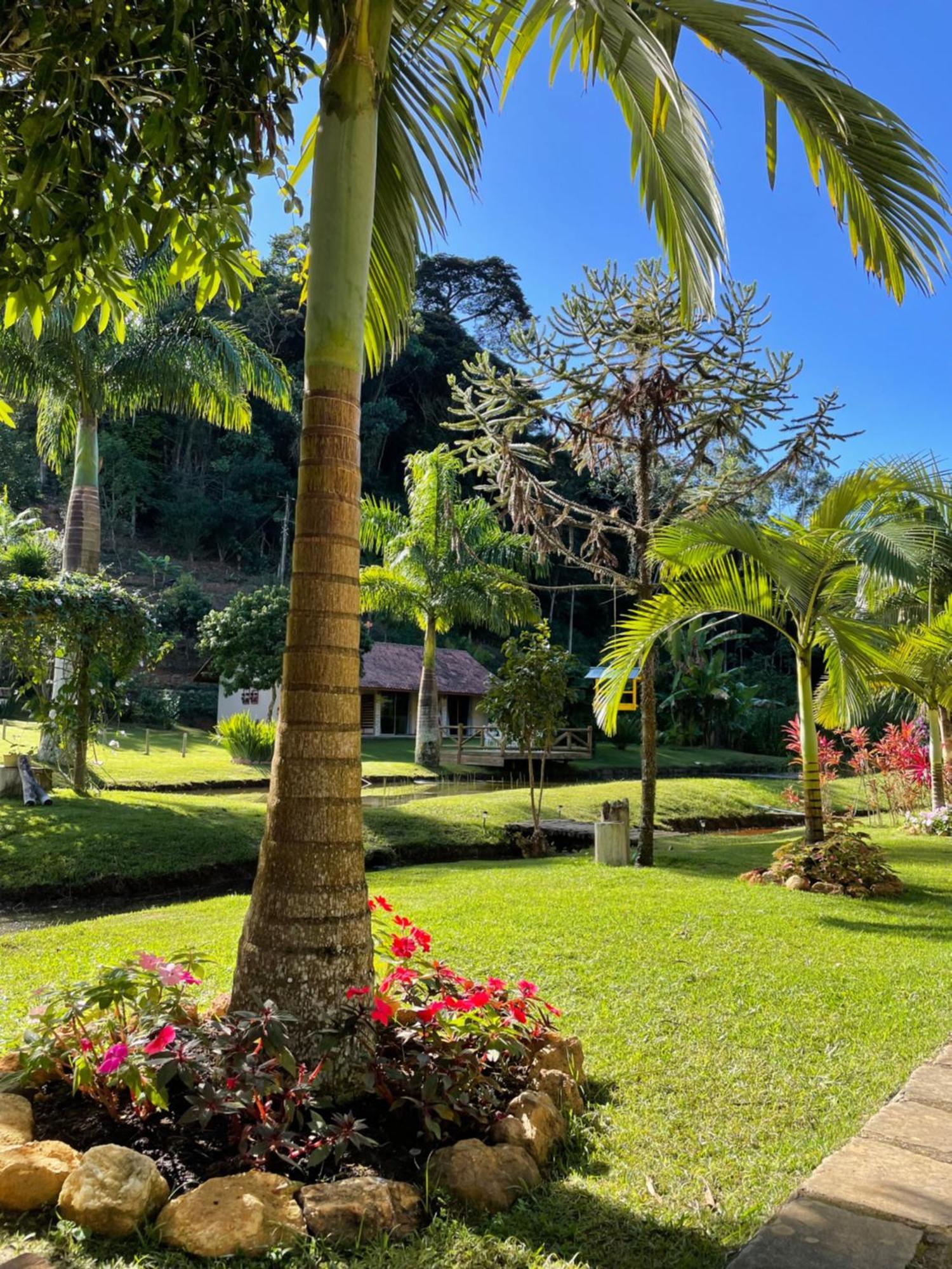 Sitio Terra Sana Bed & Breakfast Santa Teresa  Dış mekan fotoğraf
